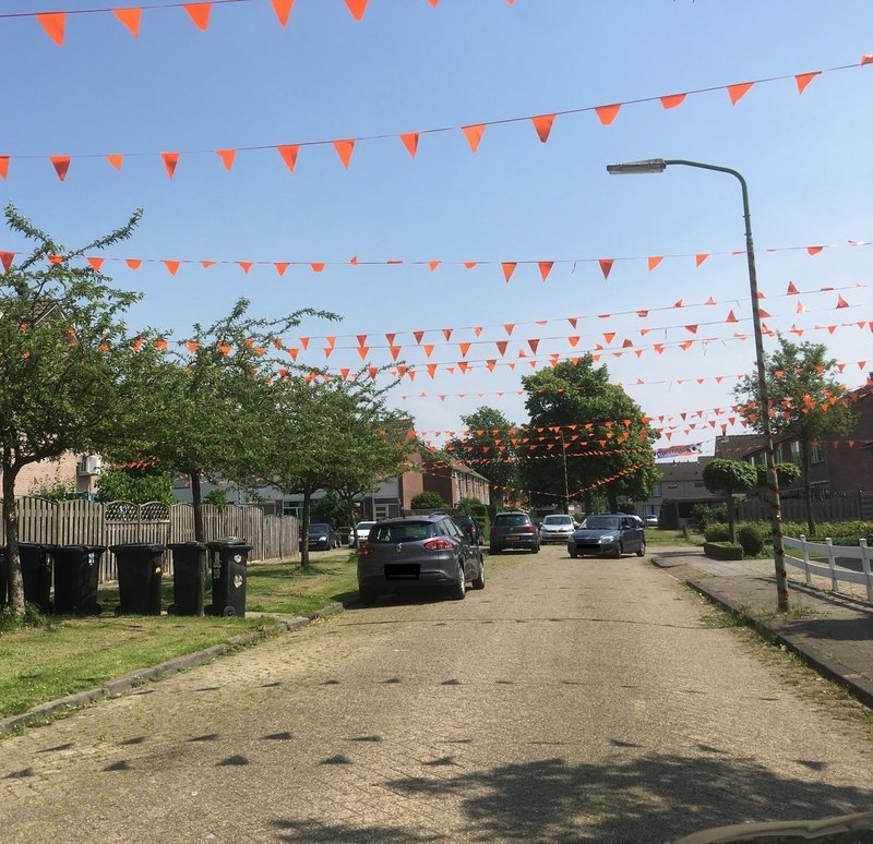 Oranje vlaggen